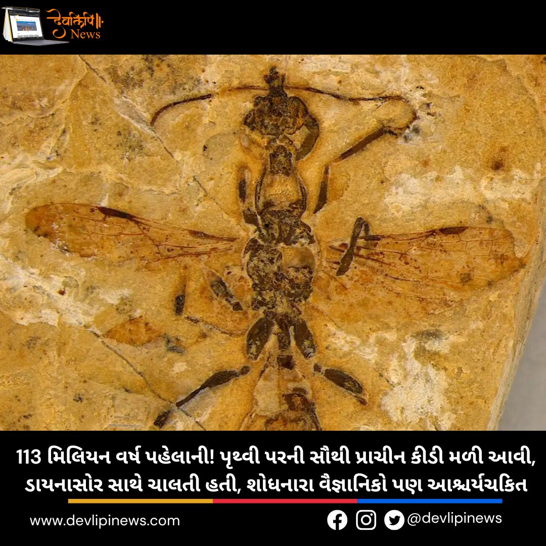 Hell Ant