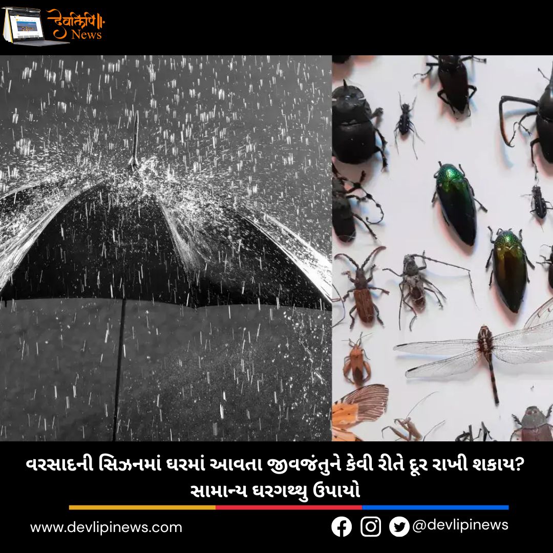 Monsoon