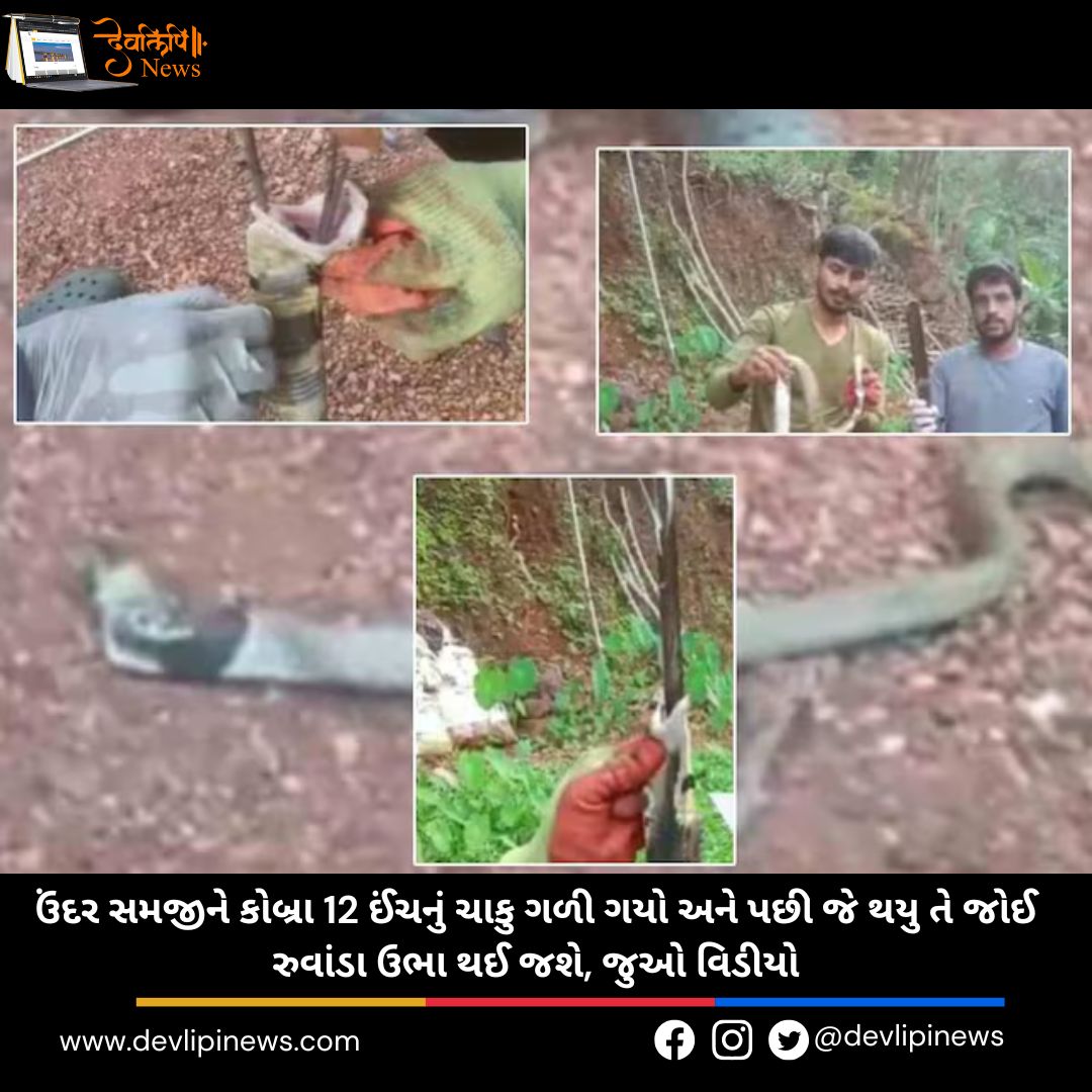Viral Video